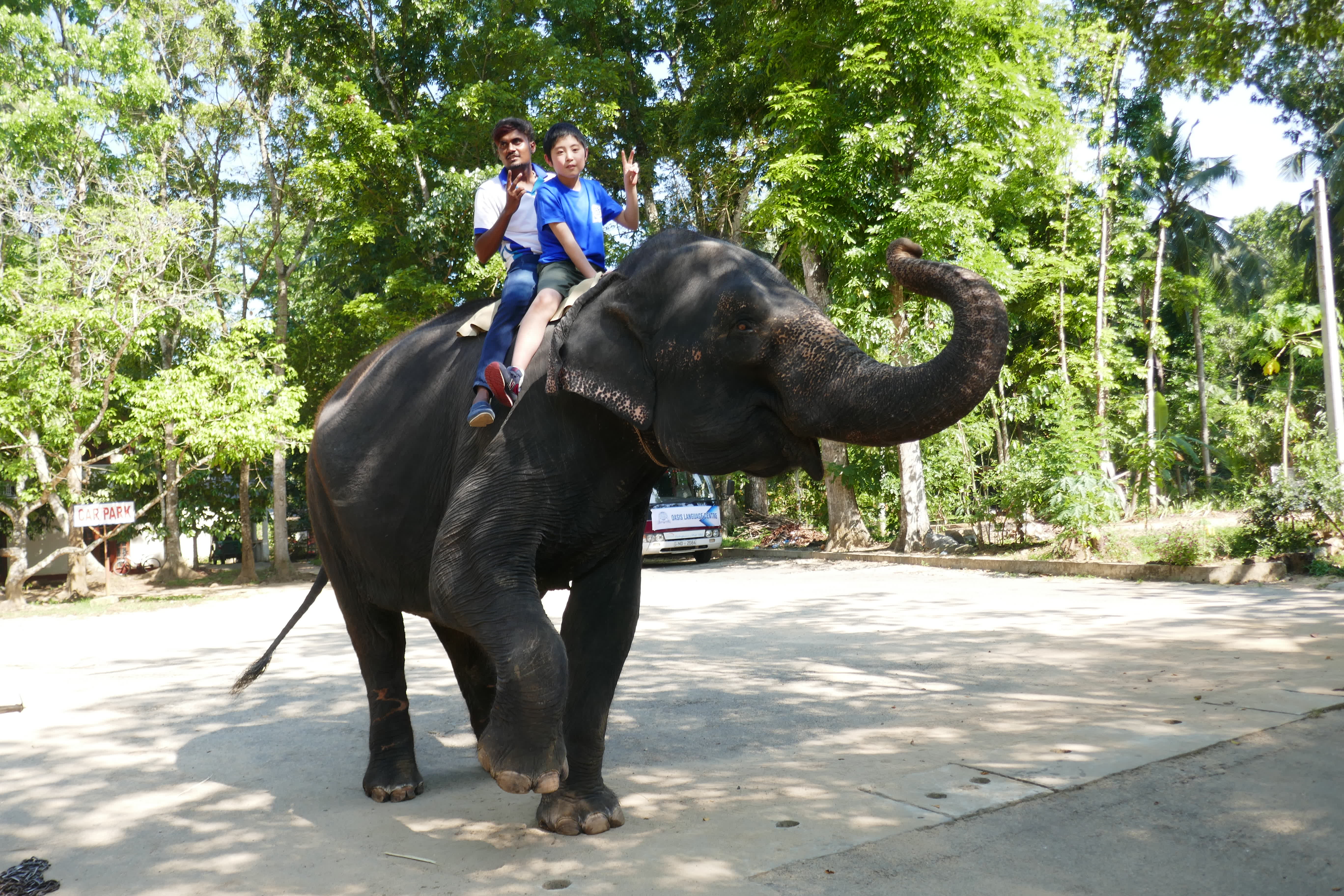 Junior-camp Image 16